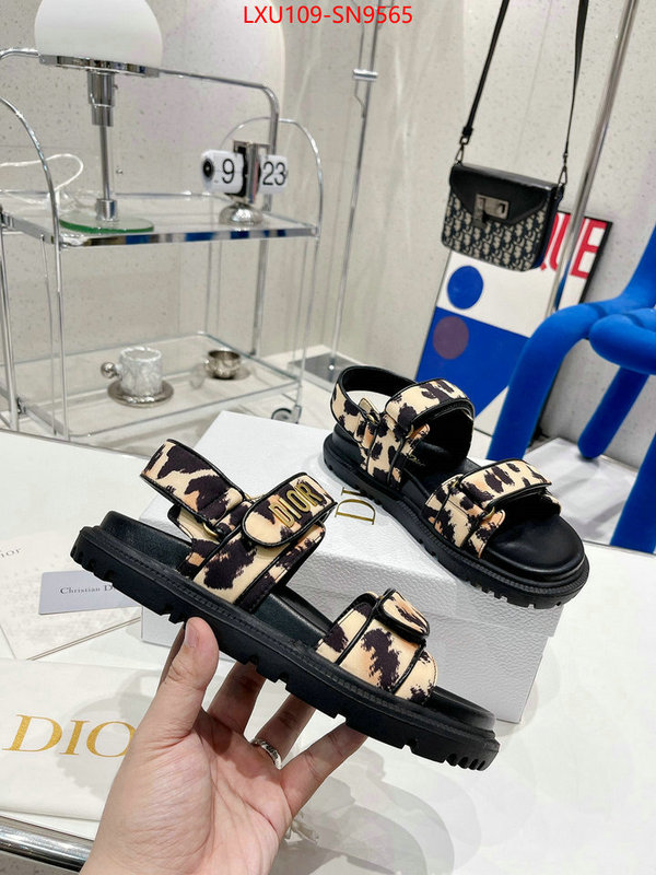 Women Shoes-Dior,perfect quality designer replica , ID: SN9565,$: 109USD