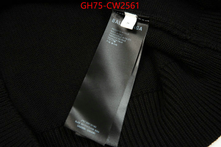 Clothing-Balenciaga,the best quality replica , ID: CW2561,$: 75USD