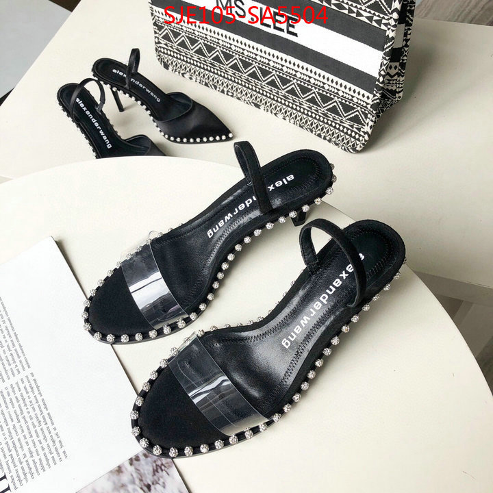 Women Shoes-Alexander Wang,shop the best high authentic quality replica , ID: SA5504,$: 105USD