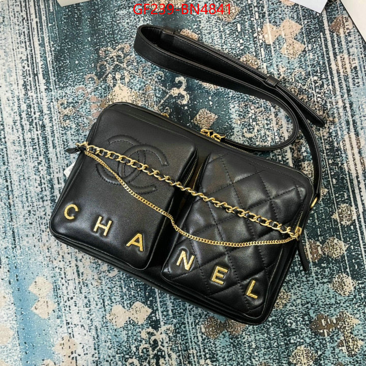 Chanel Bags(TOP)-Diagonal-,ID: BN4841,$: 239USD