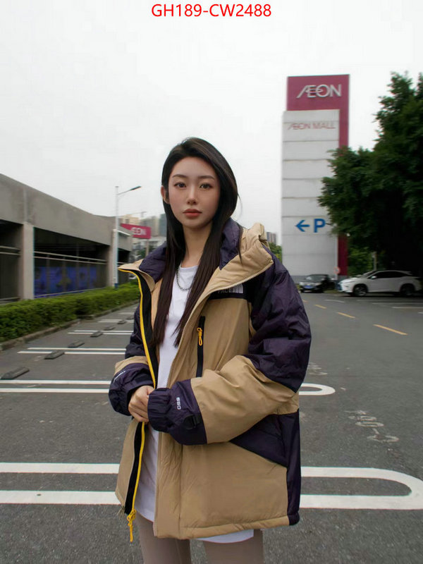 Down jacket Women-The North Face,best wholesale replica , ID: CW2488,$: 189USD