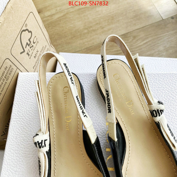 Women Shoes-Dior,2023 replica , ID: SN7832,$: 109USD