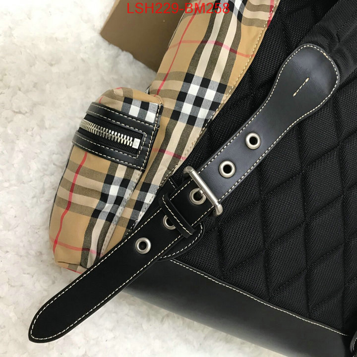 Burberry Bags(TOP)-Backpack-,best luxury replica ,ID: BM258,$:229USD