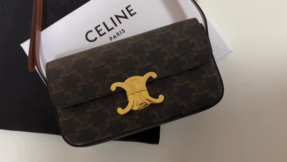 CELINE Bags(TOP)-Triomphe Series,first top ,ID: BN8024,$: 339USD