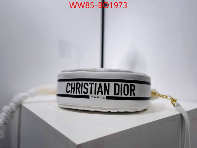 Dior Bags(4A)-Other Style-,ID: BO1973,$: 85USD