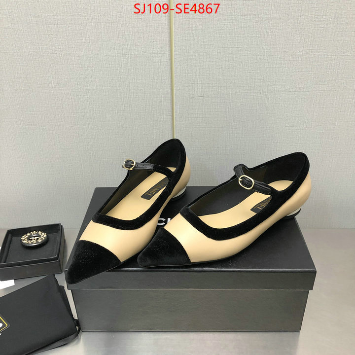 Women Shoes-Chanel,high-end designer , ID: SE4867,$: 109USD