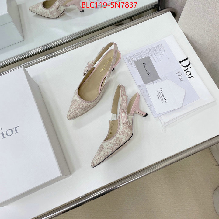 Women Shoes-Dior,replicas , ID: SN7837,$: 119USD