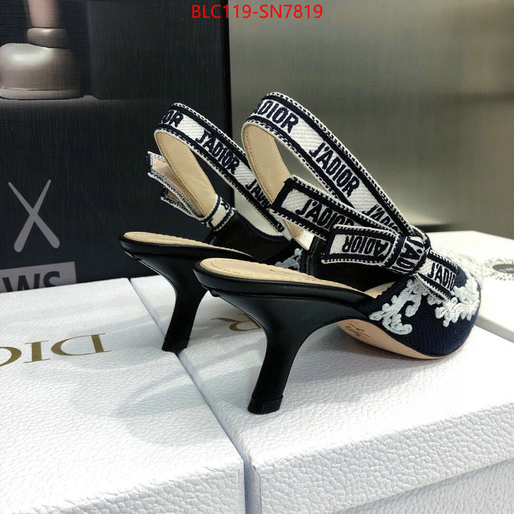 Women Shoes-Dior,replica aaaaa designer , ID: SN7819,$: 119USD