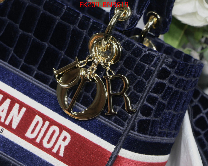 Dior Bags(TOP)-Lady-,ID: BN3619,$: 209USD