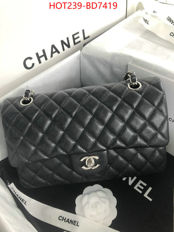 Chanel Bags(TOP)-Diagonal-,ID: BD7419,$: 239USD