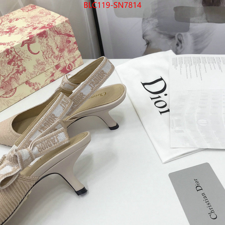 Women Shoes-Dior,how to find replica shop , ID: SN7814,$: 119USD