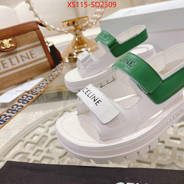 Women Shoes-CELINE,top quality designer replica , ID: SD2509,$: 115USD