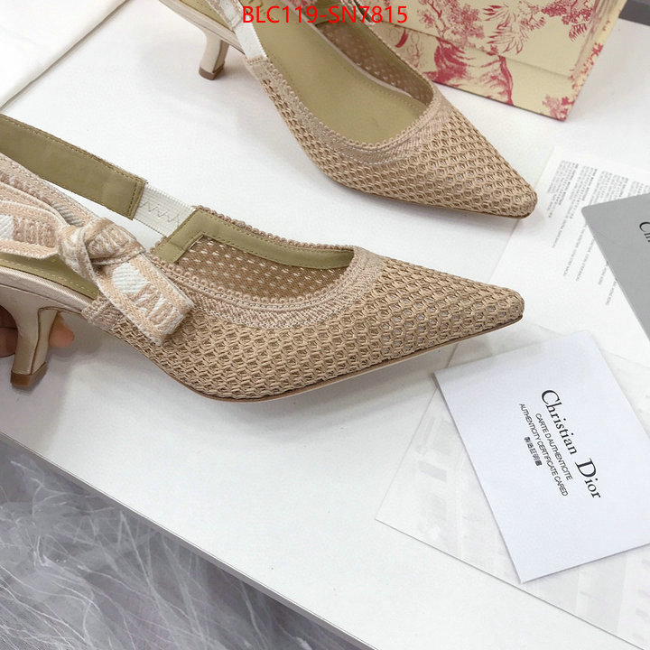 Women Shoes-Dior,shop cheap high quality 1:1 replica , ID: SN7815,$: 119USD