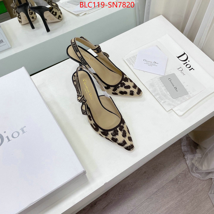 Women Shoes-Dior,1:1 replica , ID: SN7820,$: 119USD