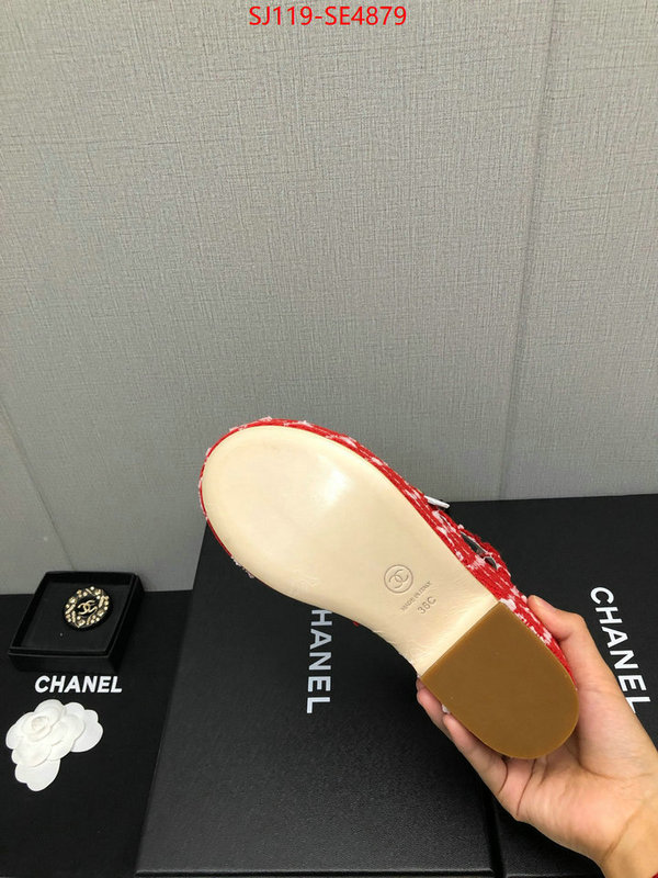 Women Shoes-Chanel,cheap replica designer , ID: SE4879,$: 119USD