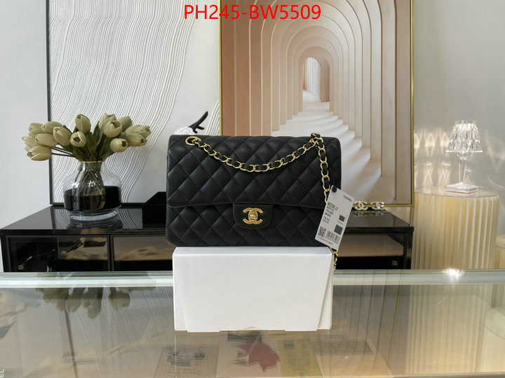 Chanel Bags(TOP)-Diagonal-,ID: BW5509,$: 245USD