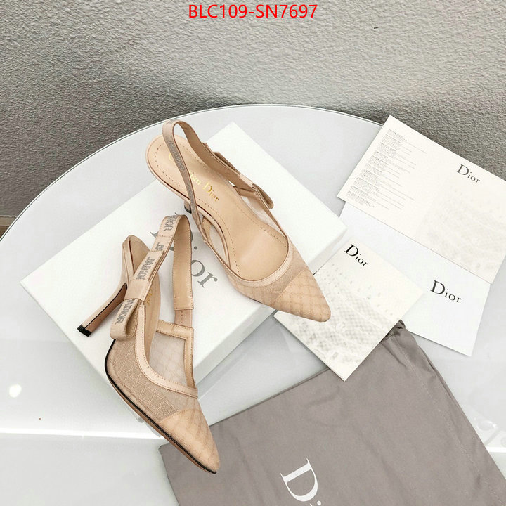 Women Shoes-Dior,top quality designer replica , ID: SN7697,$: 109USD