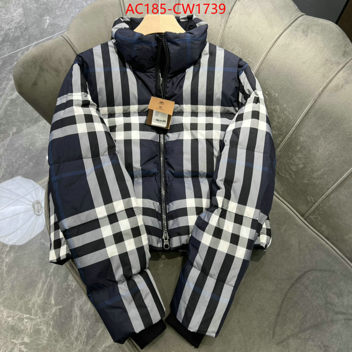 Down jacket Women-Burberry,2023 luxury replicas , ID: CW1739,$: 185USD
