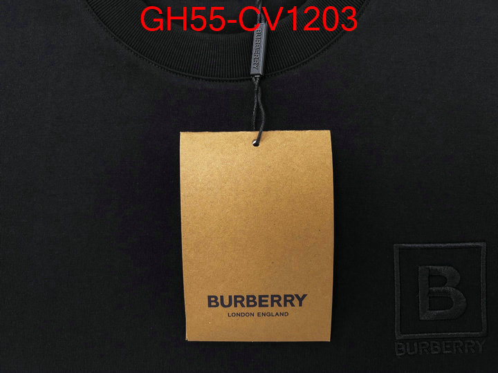 Clothing-Burberry,where can i buy the best 1:1 original , ID: CV1203,$: 55USD