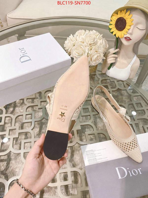 Women Shoes-Dior,sell online luxury designer , ID: SN7700,$: 119USD