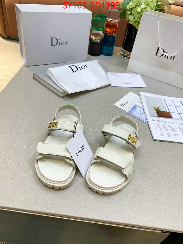 Women Shoes-Dior,online from china designer , ID: SD1199,$: 105USD