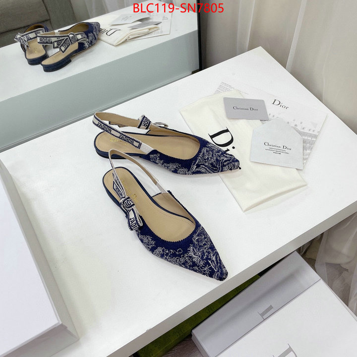 Women Shoes-Dior,the top ultimate knockoff , ID: SN7805,$: 119USD