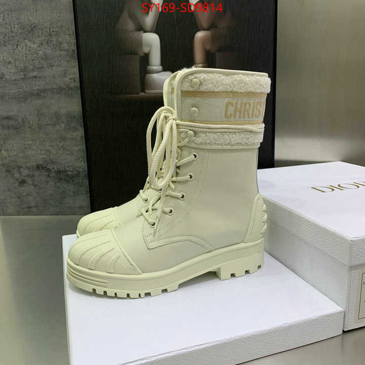 Women Shoes-Dior,is it ok to buy , ID: SD9814,$: 169USD