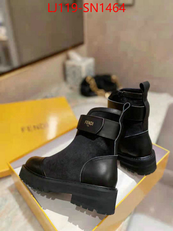 Women Shoes-Fendi,only sell high quality , ID: SN1464,$: 119USD