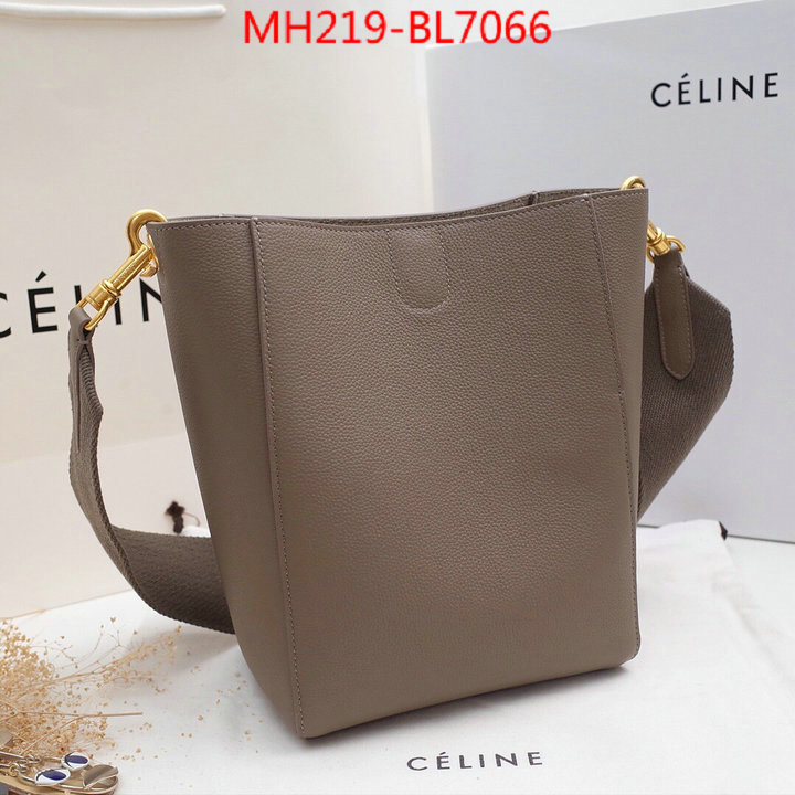 CELINE Bags(TOP)-Diagonal,highest quality replica ,ID: BL7066,$: 219USD