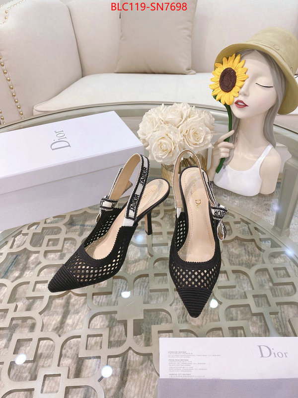 Women Shoes-Dior,how to buy replcia , ID: SN7698,$: 119USD