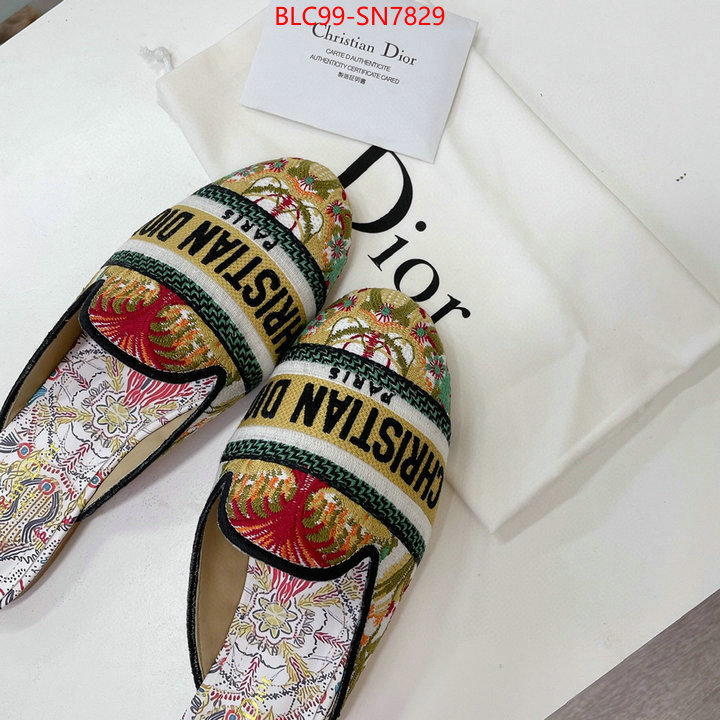 Women Shoes-Dior,website to buy replica , ID: SN7829,$: 99USD