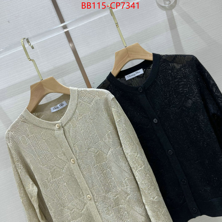 Clothing-Dior,cheap wholesale , ID: CP7341,$: 115USD