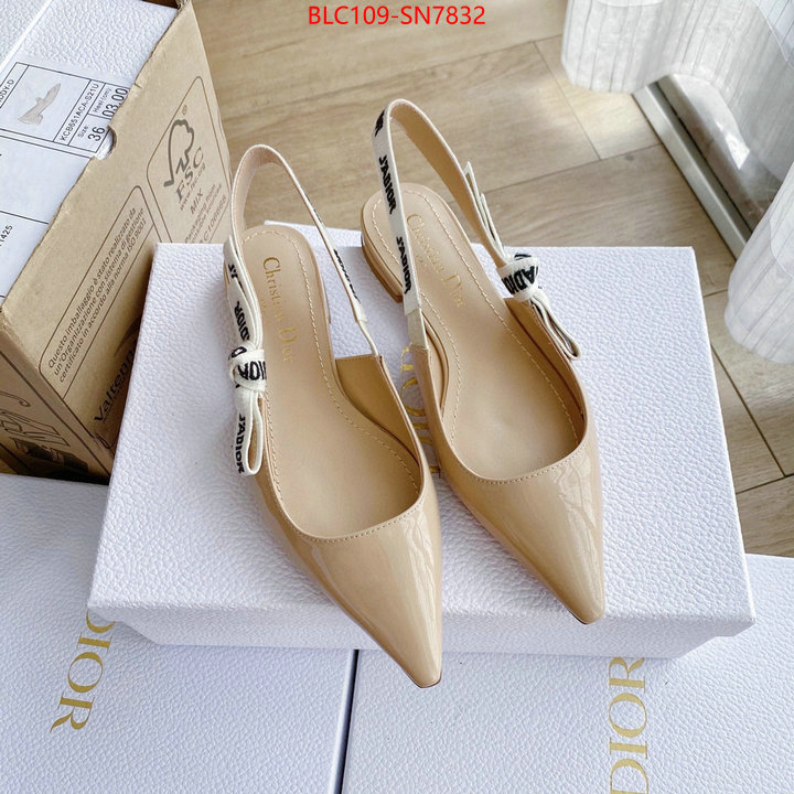 Women Shoes-Dior,2023 replica , ID: SN7832,$: 109USD