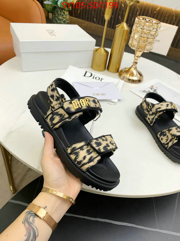 Women Shoes-Dior,online from china designer , ID: SD1199,$: 105USD