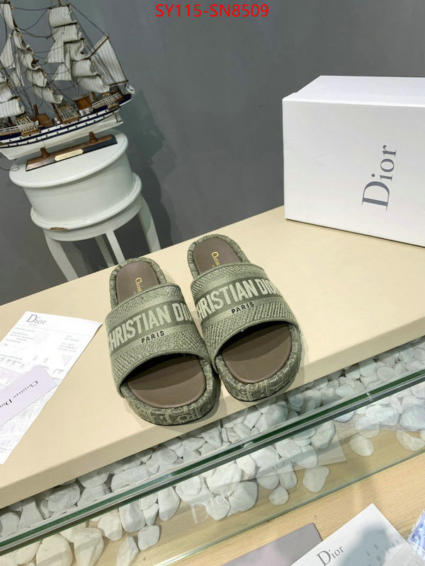 Women Shoes-Dior,sell online , ID: SN8509,$: 115USD