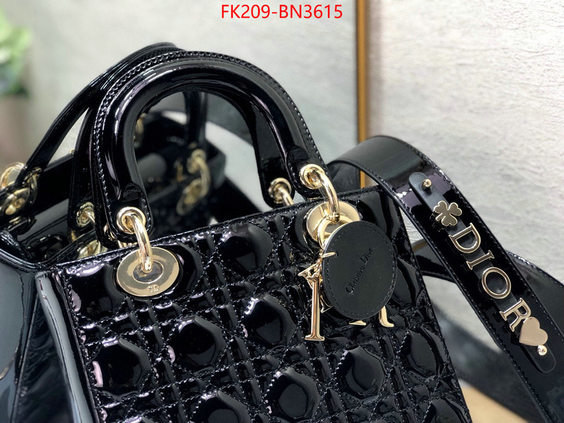 Dior Bags(TOP)-Lady-,ID: BN3615,$: 209USD