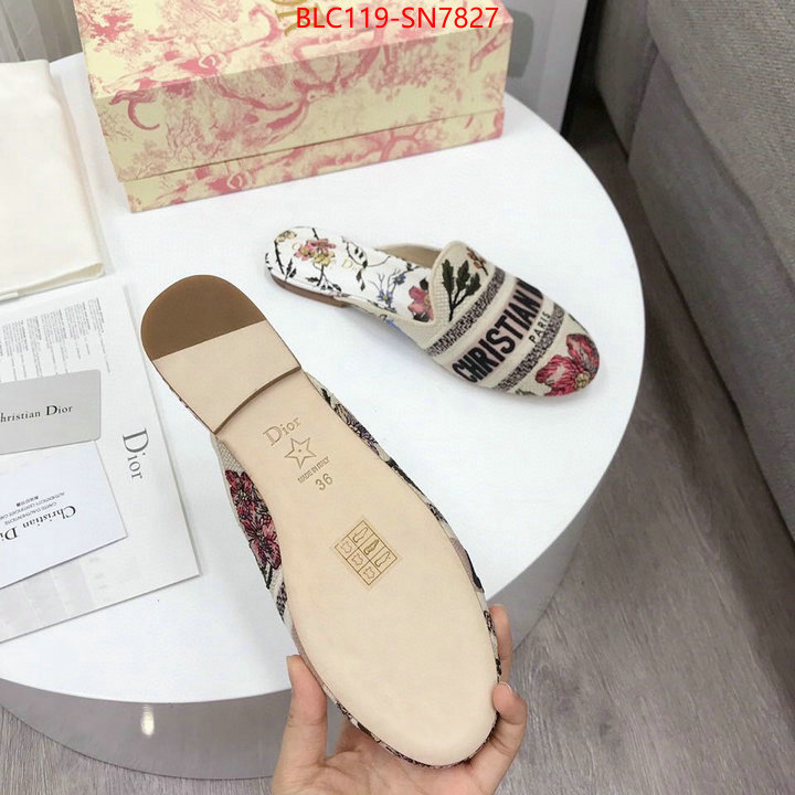 Women Shoes-Dior,wholesale china , ID: SN7827,$: 119USD