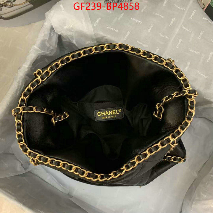 Chanel Bags(TOP)-Handbag-,ID: BP4858,$: 239USD