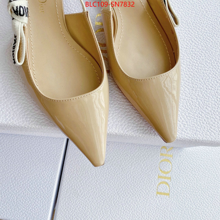 Women Shoes-Dior,2023 replica , ID: SN7832,$: 109USD