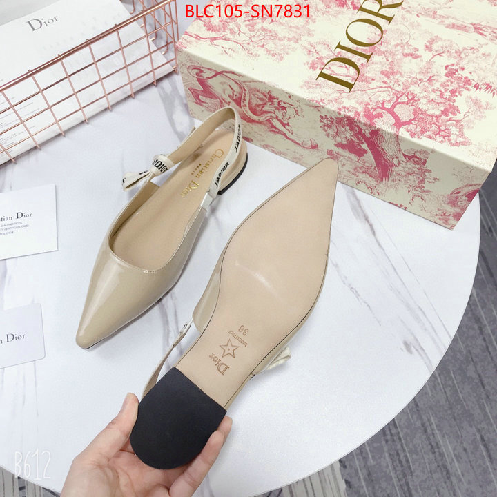 Women Shoes-Dior,aaaaa customize , ID: SN7831,$: 105USD