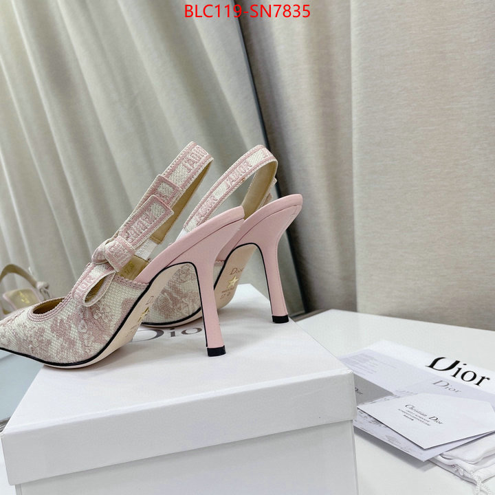 Women Shoes-Dior,styles & where to buy , ID: SN7835,$: 119USD