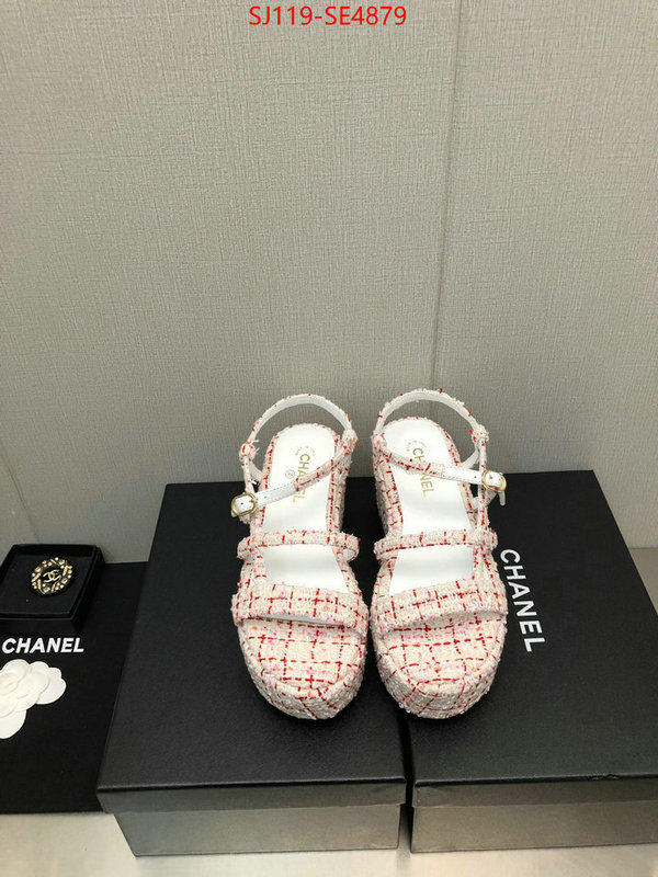 Women Shoes-Chanel,cheap replica designer , ID: SE4879,$: 119USD