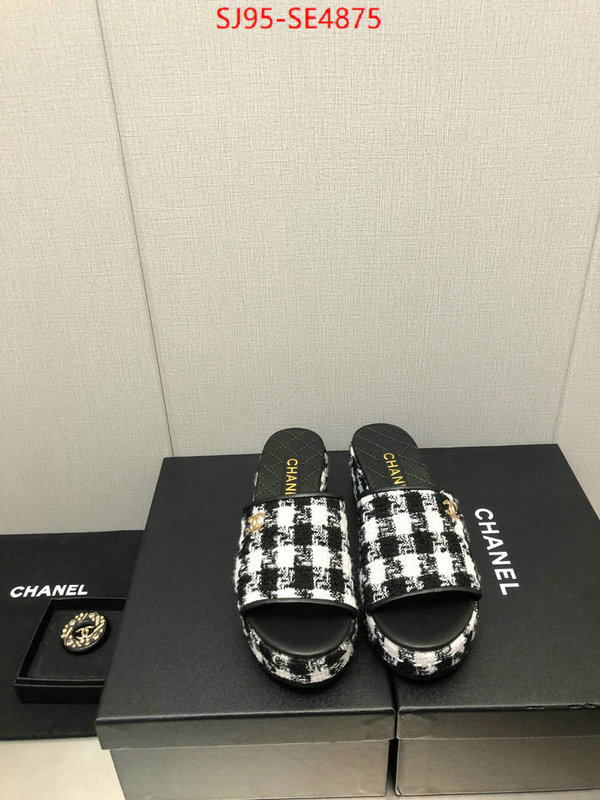 Women Shoes-Chanel,replica us , ID: SE4875,$: 95USD