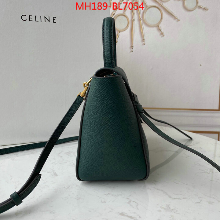 CELINE Bags(TOP)-Belt Bag,wholesale ,ID: BL7054,$: 189USD