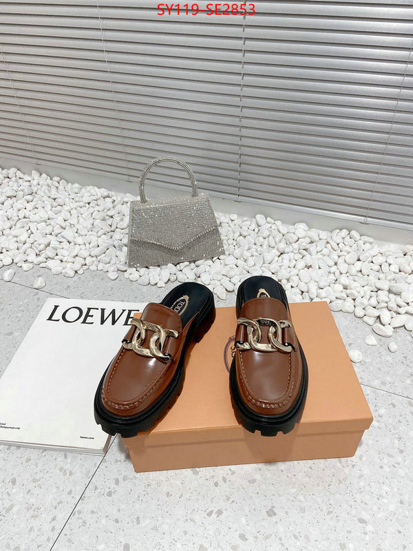 Women Shoes-Tods,top fake designer ,high quality replica designer , ID: SE2853,$: 119USD