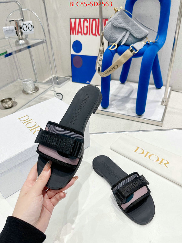 Women Shoes-Dior,high end designer , ID: SD2563,$: 85USD