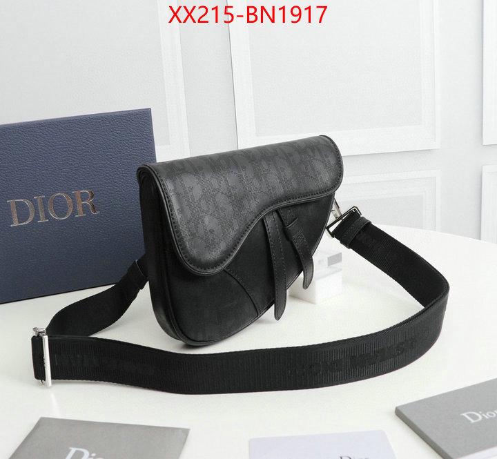 Dior Bags(TOP)-Saddle-,ID: BN1917,$: 215USD