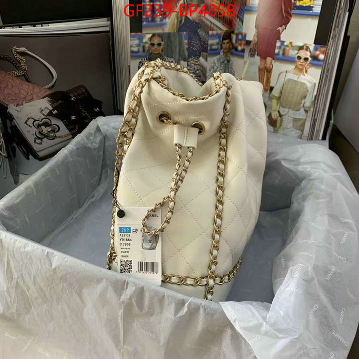 Chanel Bags(TOP)-Handbag-,ID: BP4858,$: 239USD