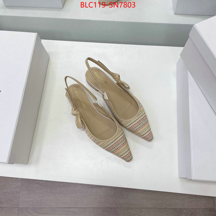 Women Shoes-Dior,replica designer , ID: SN7803,$: 119USD