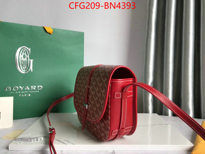 Goyard Bags(TOP)-Diagonal-,ID: BN4393,$: 209USD